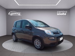 FIAT Panda 1.0 FireFly S&S Hybrid 6
